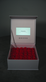 WAQADRR Roses Video Box - White