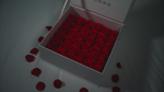 WAQADRR Roses Video Box - White