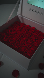 WAQADRR Roses Video Box - White
